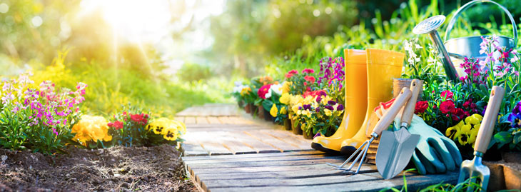 Aménagement jardin simple : transformez votre espace vert en un véritable havre de paix !