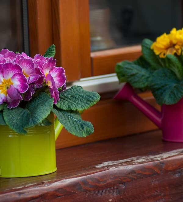 Idée deco printemps : créez une ambiance fraîche et colorée !