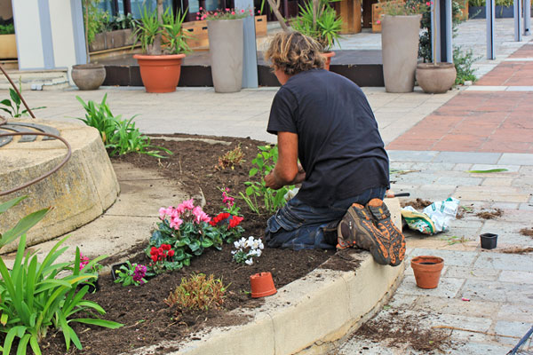 Idée jardin : les meilleures idées d’aménagement pour votre jardin !